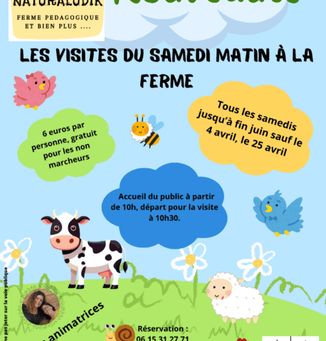 Image d'entête