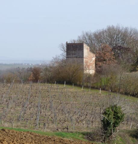 Image d'entête