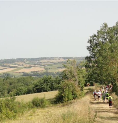 Image d'entête
