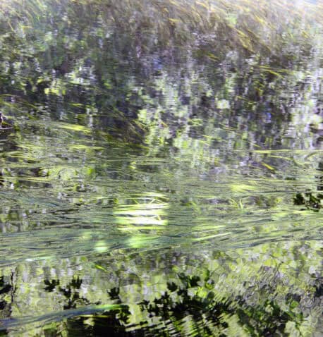 Image d'entête