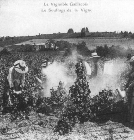 Image d'entête