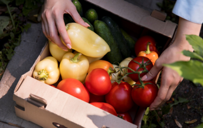 Légumes locaux qui viennent d'être récoltés