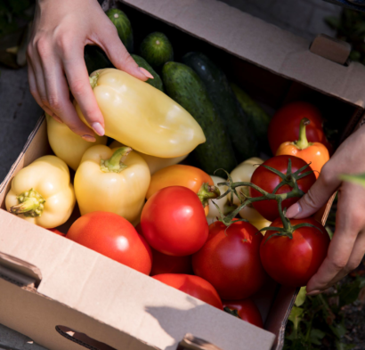 Légumes locaux qui viennent d'être récoltés