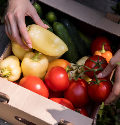 Légumes locaux qui viennent d'être récoltés