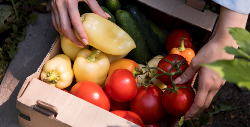 Légumes locaux qui viennent d'être récoltés