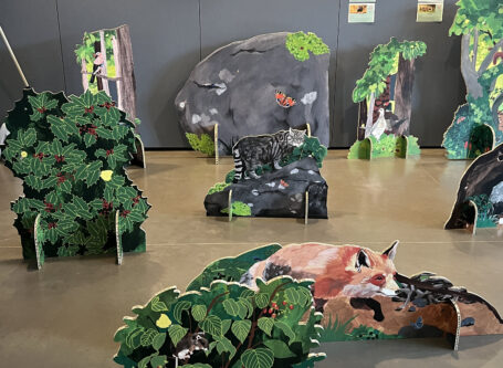 Vue générale de la forêt avec un renard au premier plan.