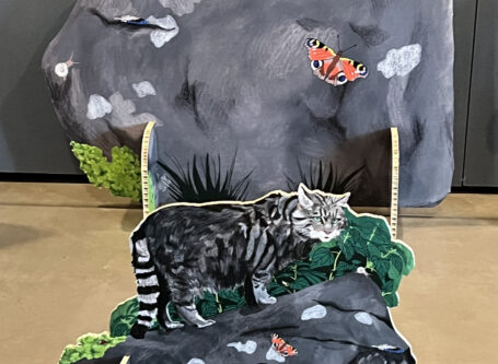 Image de la forêt avec un chat sauvage.