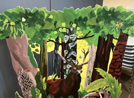 Un cerf dans notre forêt