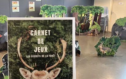 Couverture du carnet de jeux et la forêt en arrière plan.