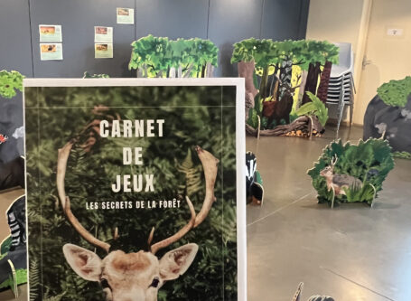 Couverture du carnet de jeux et la forêt en arrière plan.