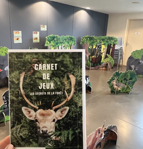 Couverture du carnet de jeux et la forêt en arrière plan.