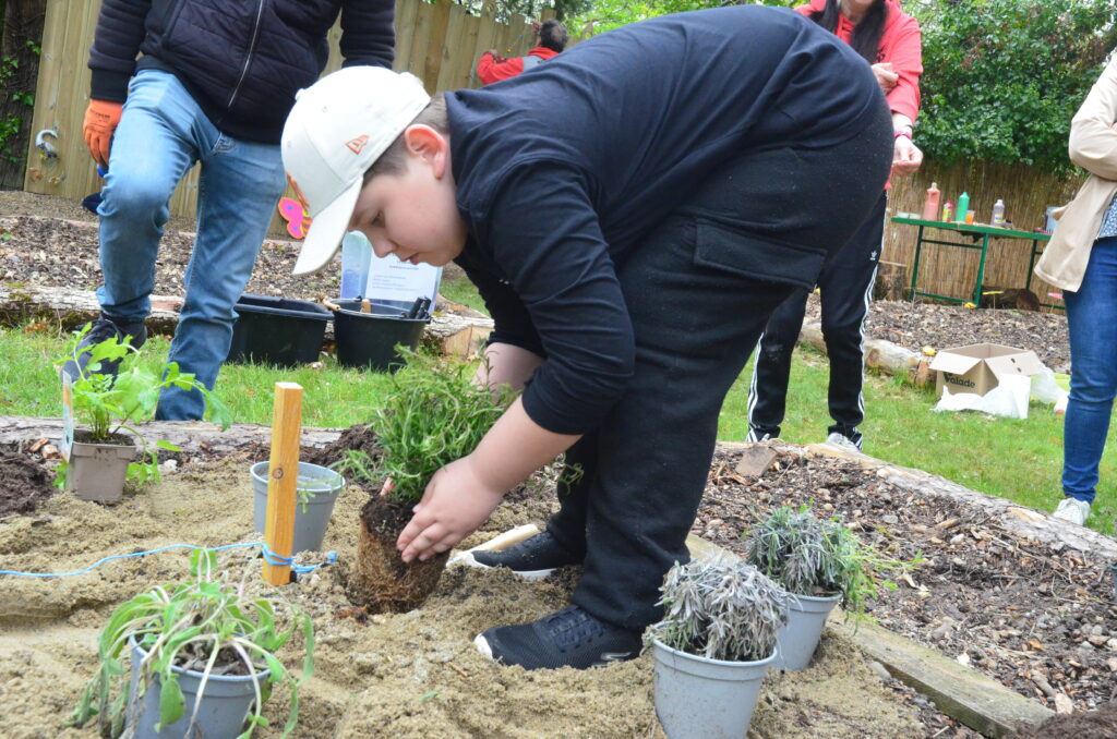 Les enfants du Centre de loisirs de La Courbe font des plantations dans leur jardin participatif. 