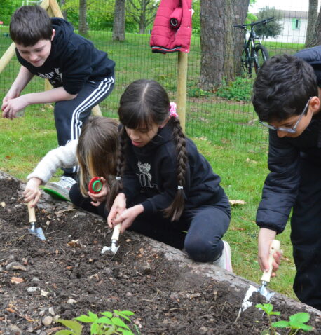 Les enfants du Centre loisirs de La Courbe préparent la terre du jardin
