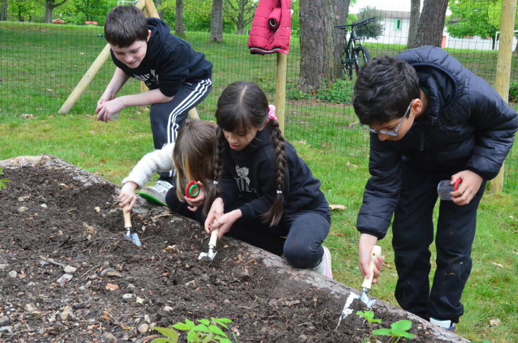 Les jeunes du Centre de loisirs de La Courbe jardinent au naturel.